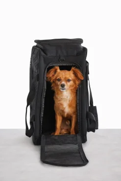 The Regulation Pet Carry-On In Black
